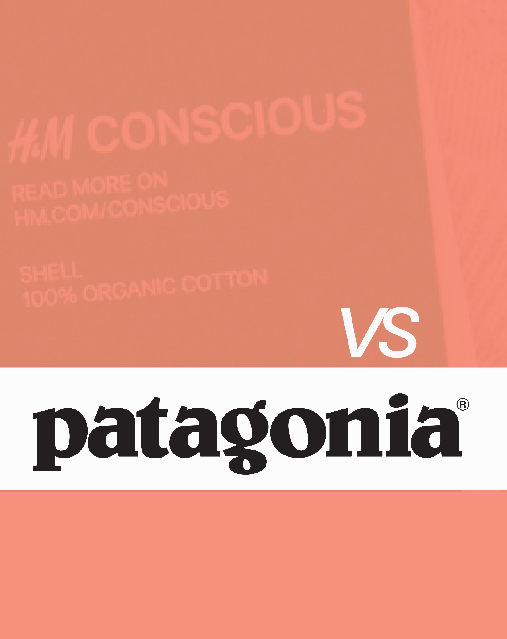 Greenwashing Vs Patagonia